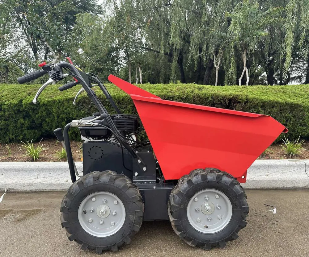 Camión volquete eléctrico de 300 kg de China