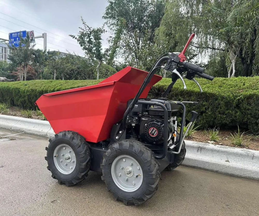 Camión volquete eléctrico de 300 kg de China