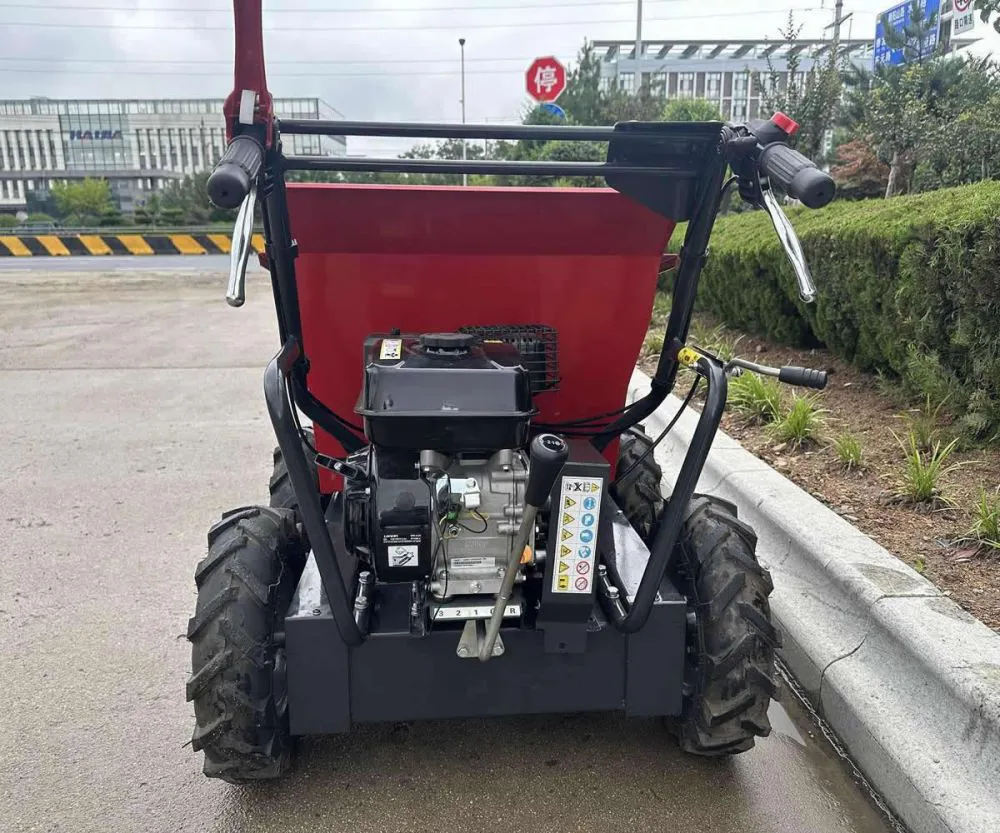 Camión volquete eléctrico de 300 kg de China