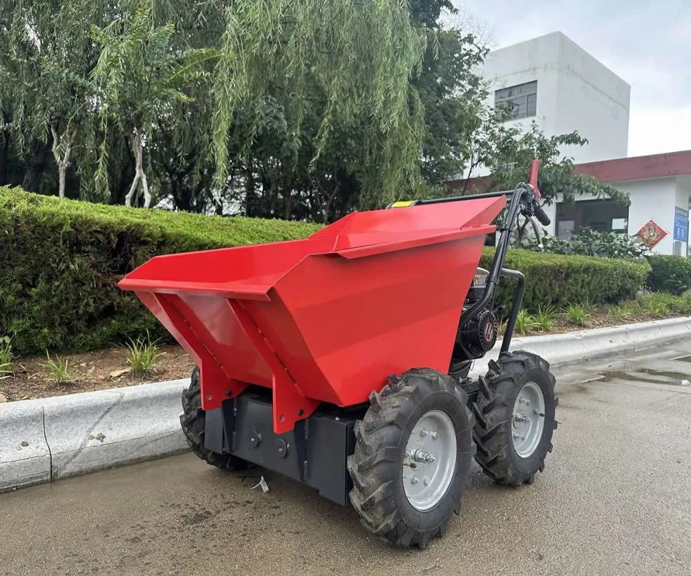 Camión volquete eléctrico de 300 kg de China