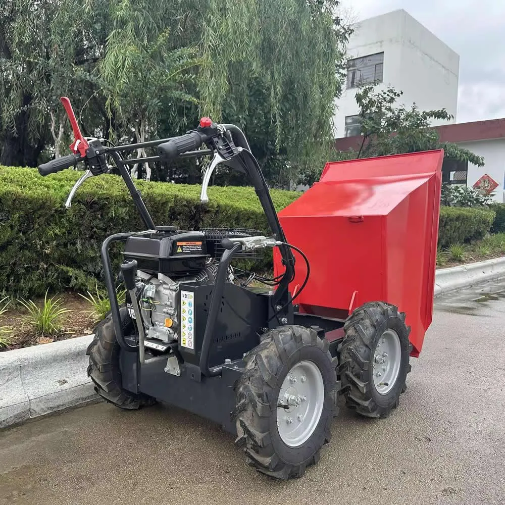Camión volquete eléctrico de 300 kg de China