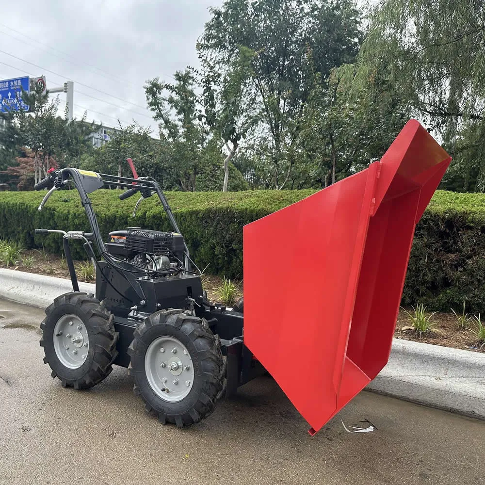 Camión volquete eléctrico de 300 kg de China