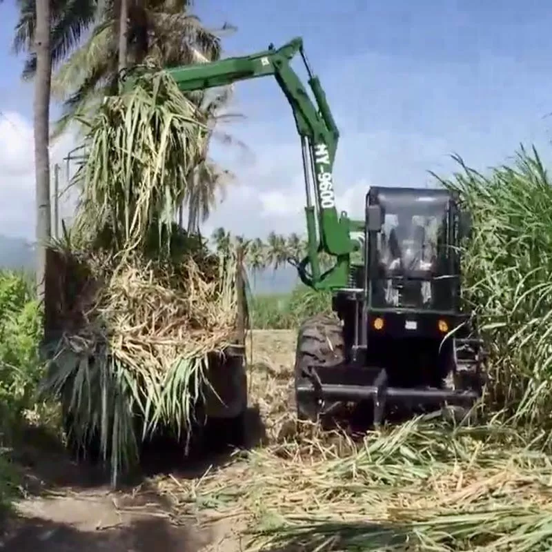 Cargador de Ca&ntilde;a de Az&uacute;car HY9600 - Ofertas de Fabricantes OEM a Precios Bajos