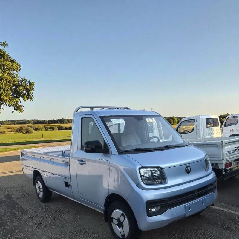 تُستخدم شاحنات فوتون الصغيرة، وهي شاحنات صغيرة 4x2 صينية الصنع، لنقل الخضراوات بأسعار مخفضة. شاحنات كاميونيتا أصلية من المصنع.