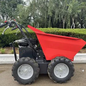Camión volquete eléctrico de 300 kg de China